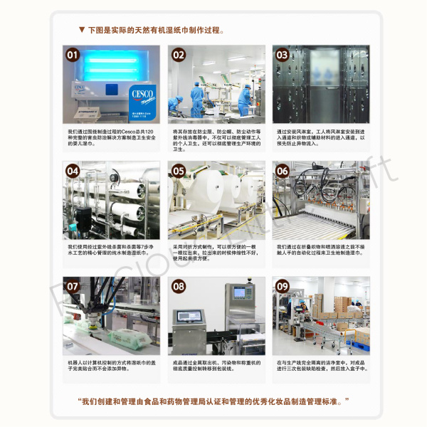 original_plain_travel_pack_30_sheets_11