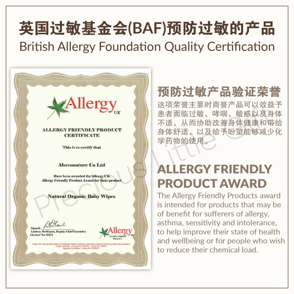 original_plain_travel_pack_30_sheets_16