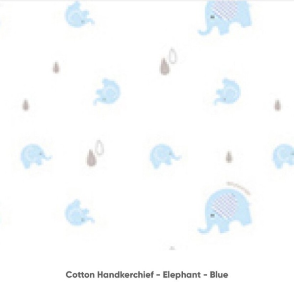 thumbnail_1110499773